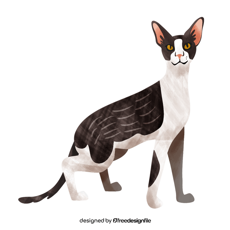 Cornish rex cat clipart