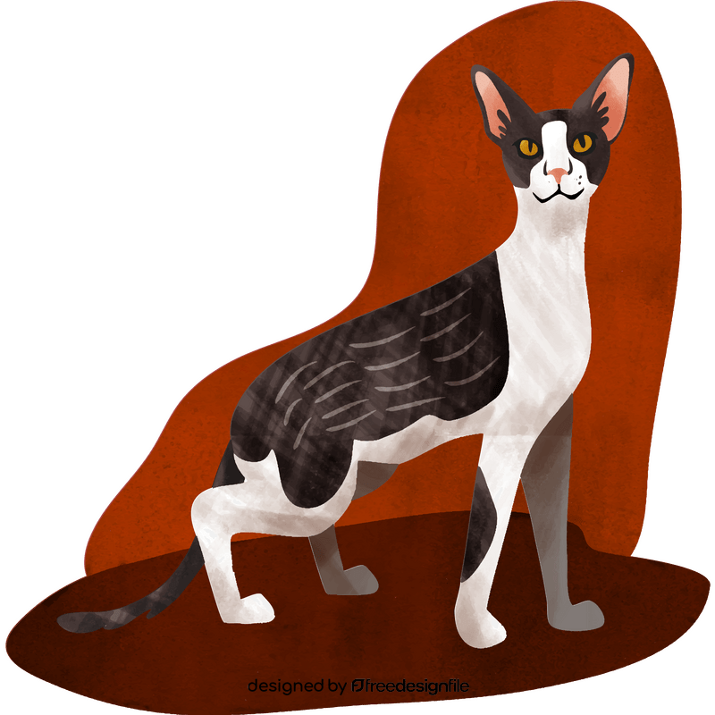 Cornish rex cat vector