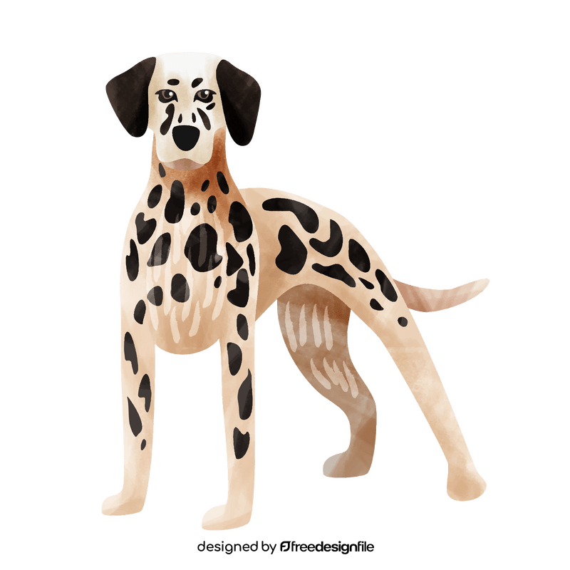 Dalmatian dog clipart