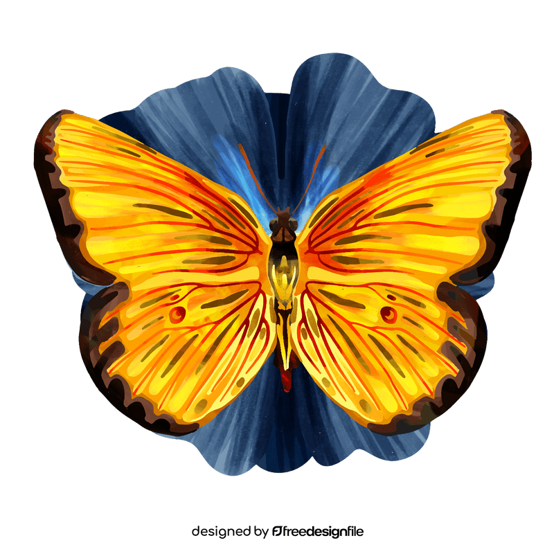 Orange sulphur butterfly vector