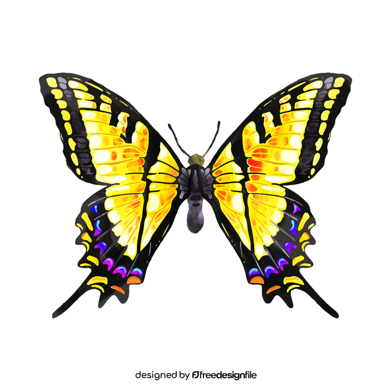 Tiger swallowtail butterfly clipart