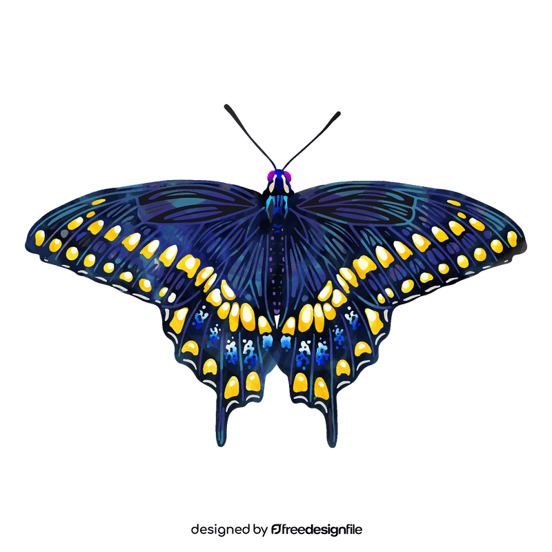 Black swallowtail butterfly clipart