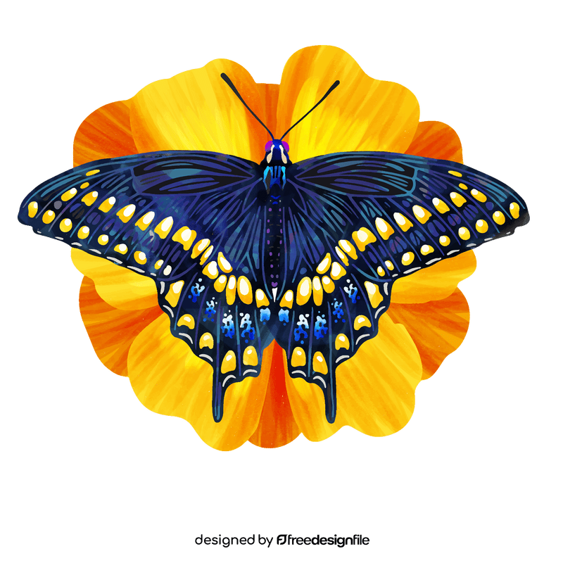 Black swallowtail butterfly vector