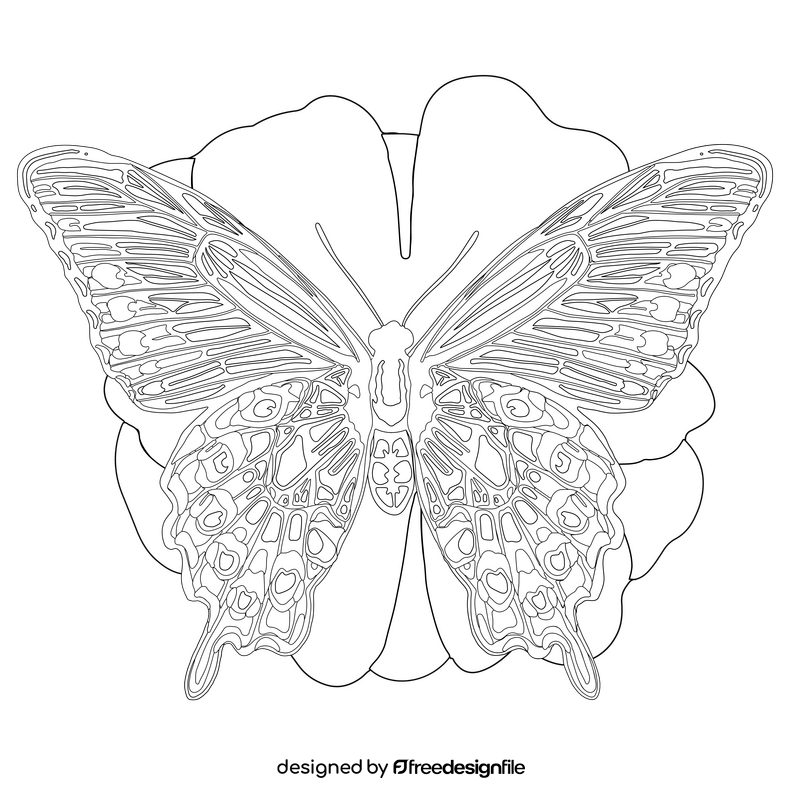 Pipevine swallowtail butterfly drawing black and white clipart