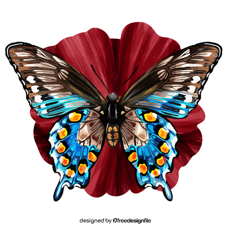 Pipevine swallowtail butterfly vector