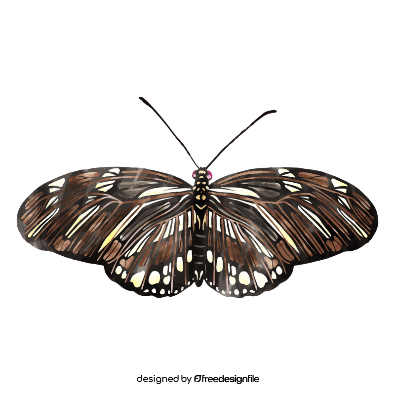 Zebra longwing butterfly clipart