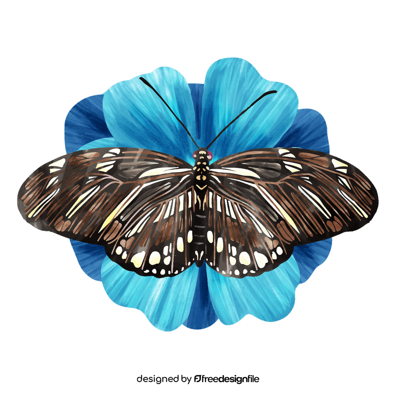 Zebra longwing butterfly vector