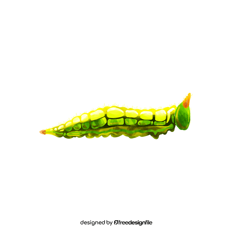 Northern pearly eye caterpillar clipart