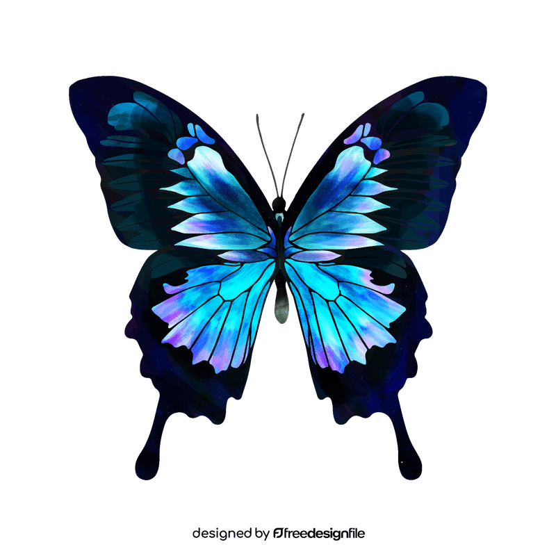 Ulysses butterfly clipart