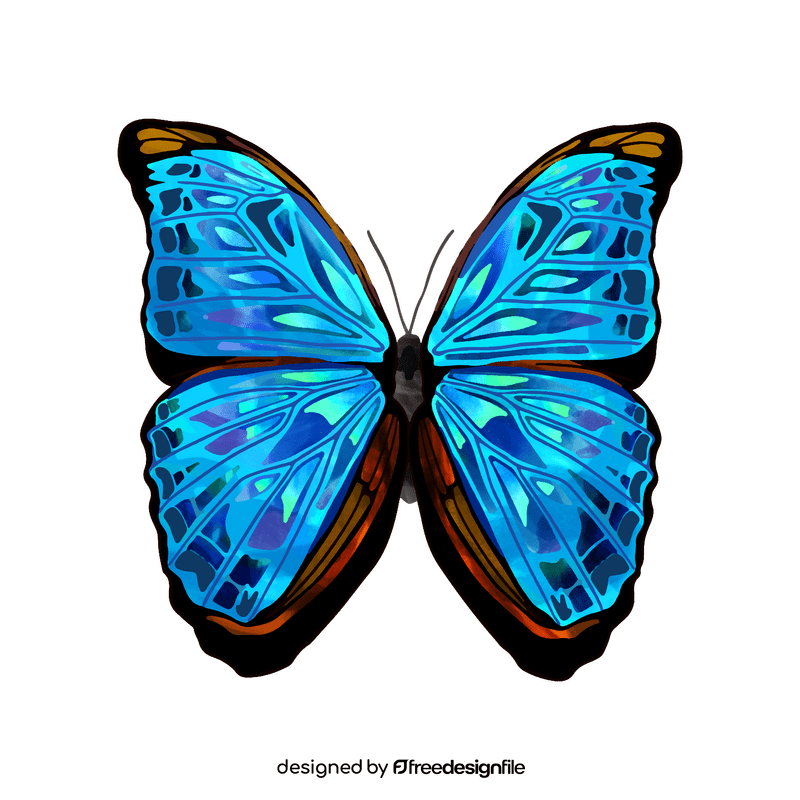 Morpho butterfly clipart