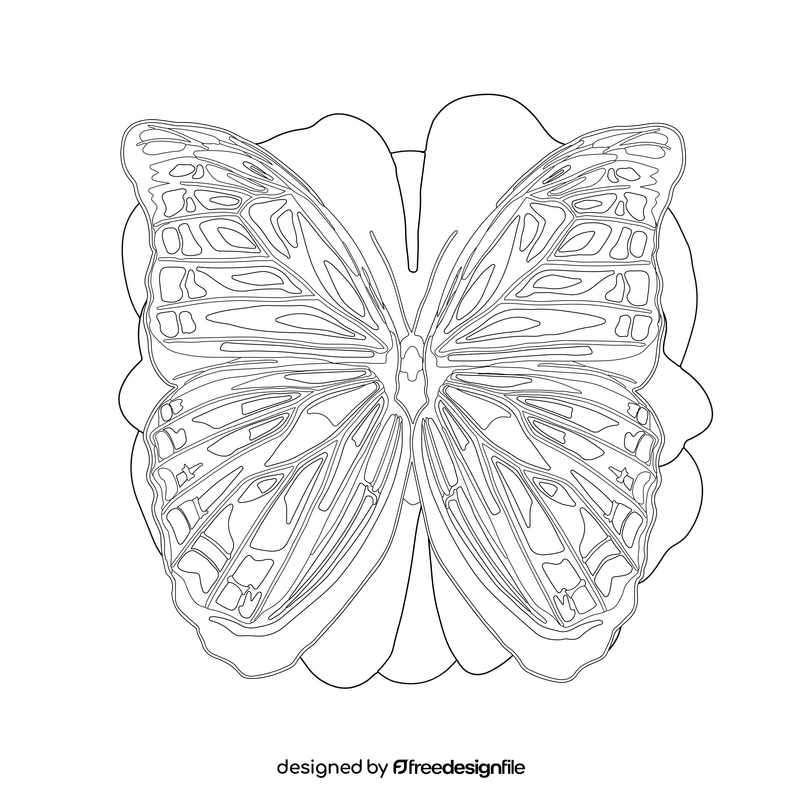 Morpho butterfly drawing black and white clipart