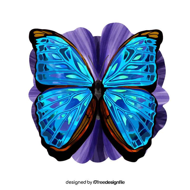 Morpho butterfly vector