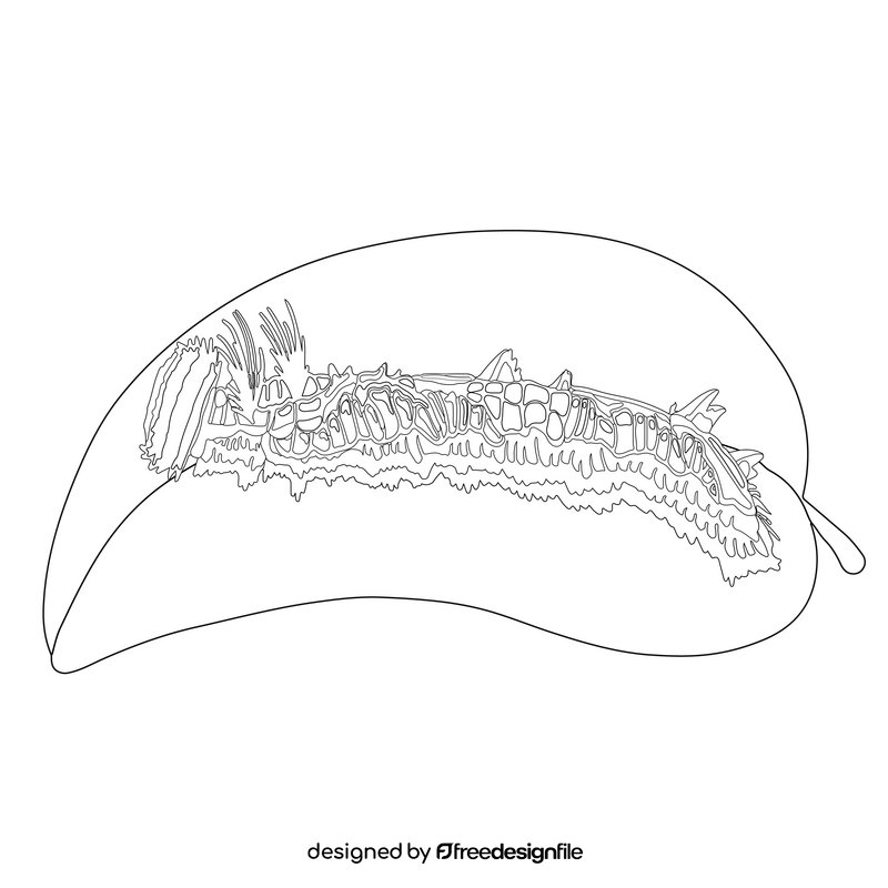 Morpho caterpillar drawing black and white clipart