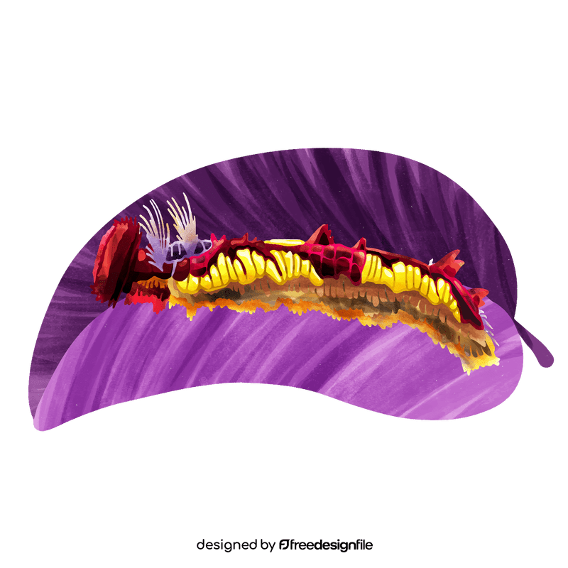 Morpho caterpillar vector