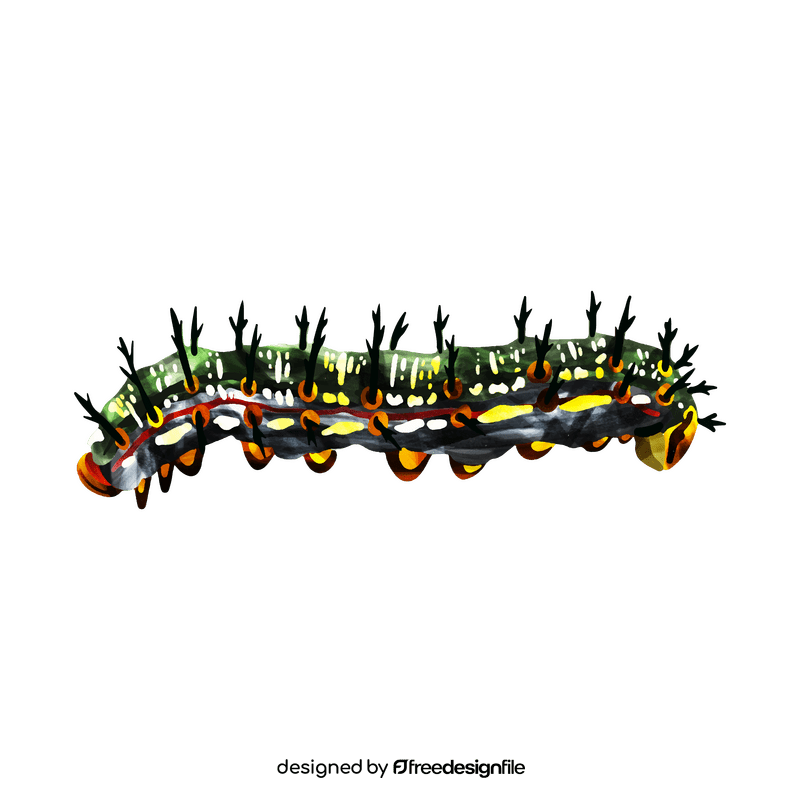 Buckeye caterpillar clipart