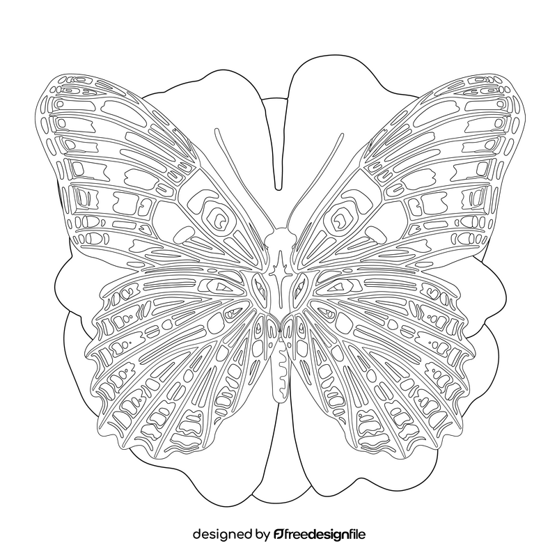 Red spotted purple butterfly drawing black and white clipart