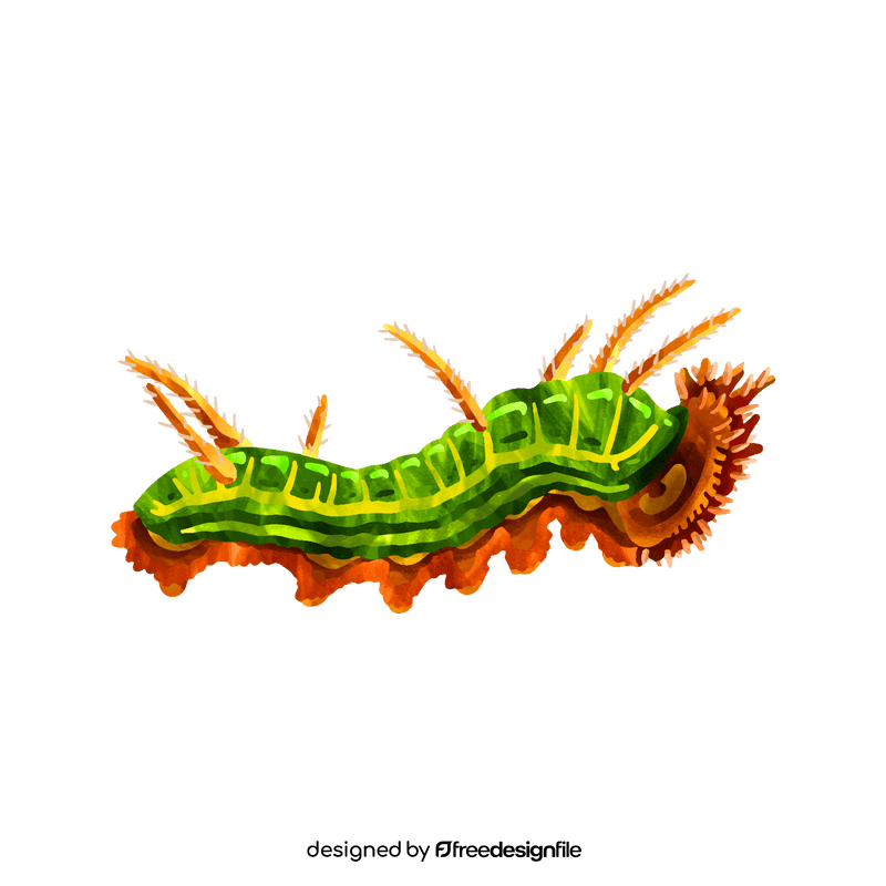 California sister caterpillar clipart