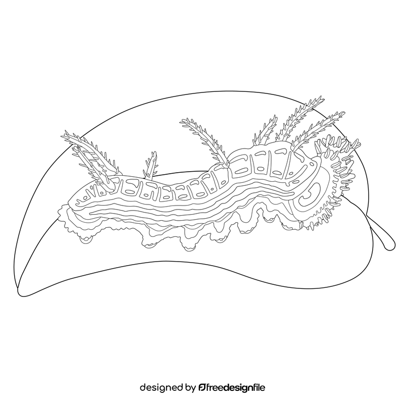 California sister caterpillar drawing black and white clipart