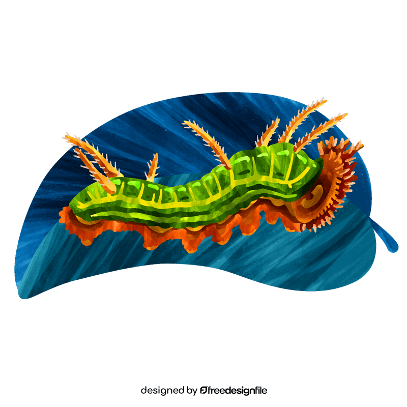 California sister caterpillar vector