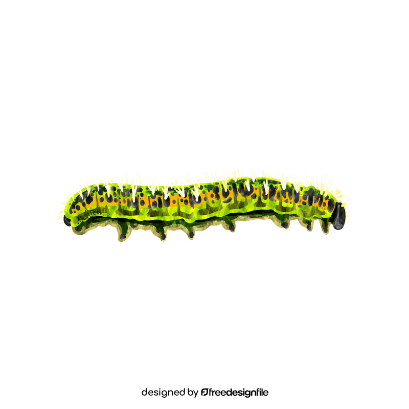 Cabbage white caterpillar clipart