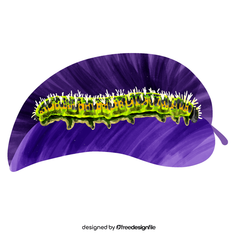 Cabbage white caterpillar vector