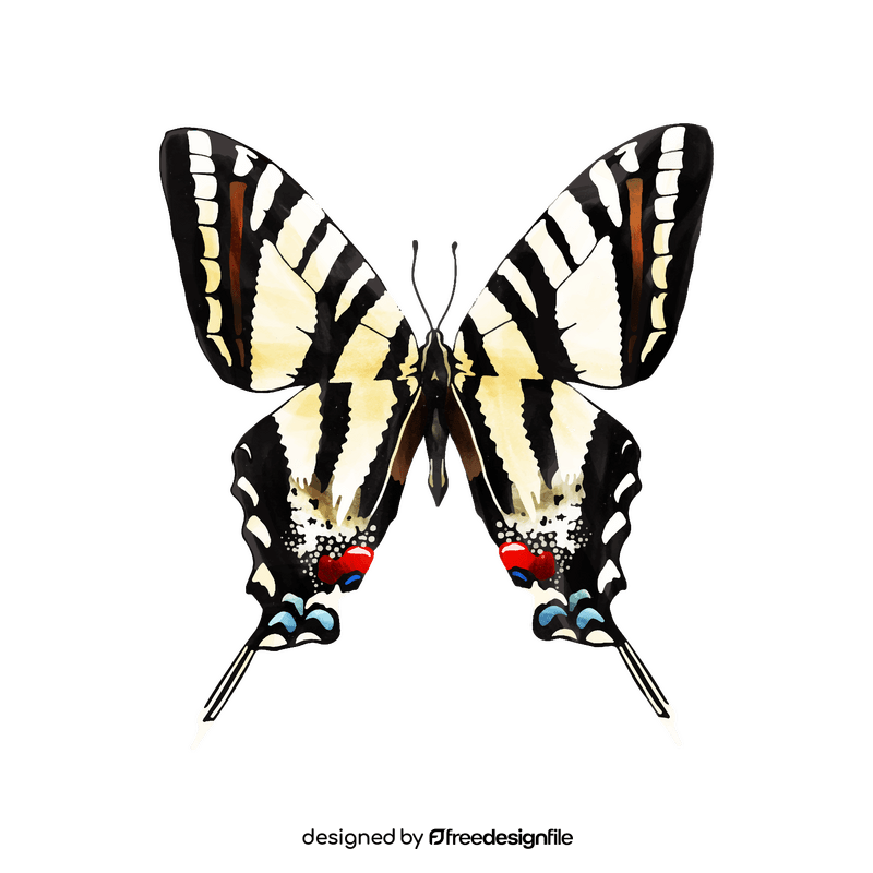 Swallowtail butterfly clipart