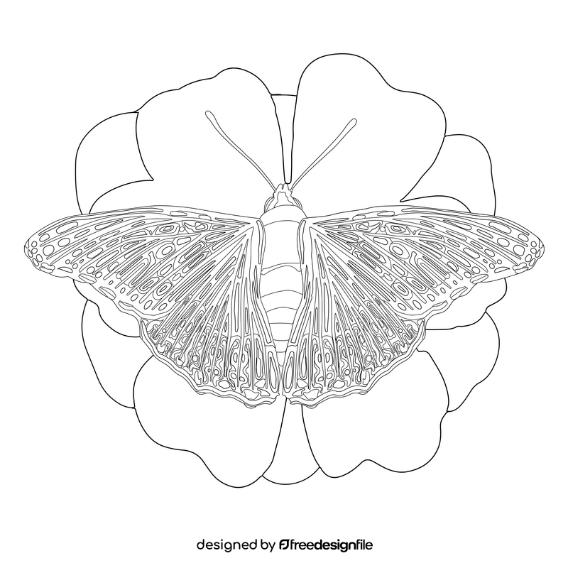 Painted lady butterfly drawing black and white clipart