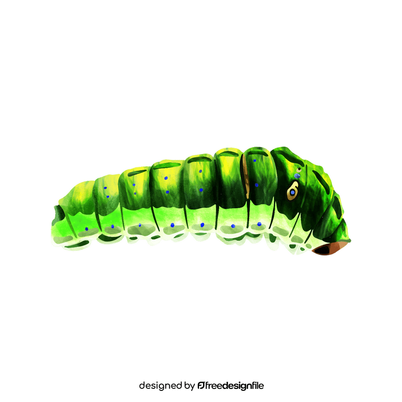 Tiger swallowtail caterpillar clipart