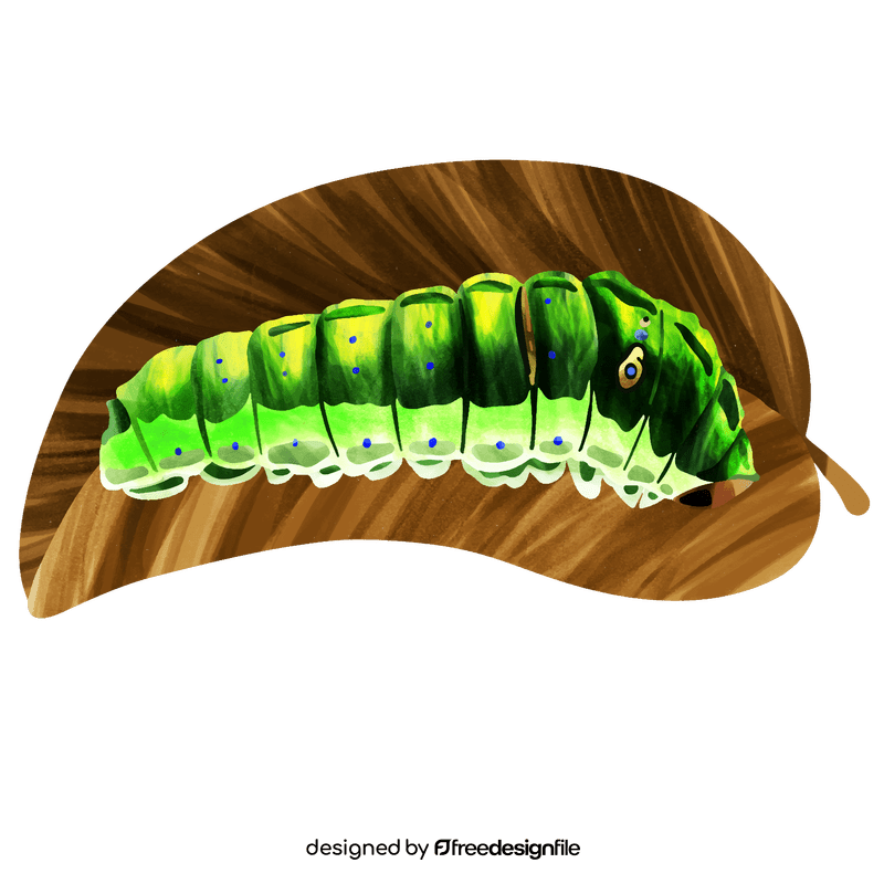 Tiger swallowtail caterpillar vector