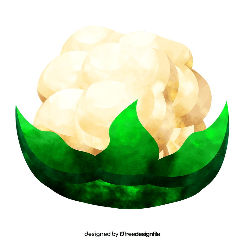 Cauliflower clipart