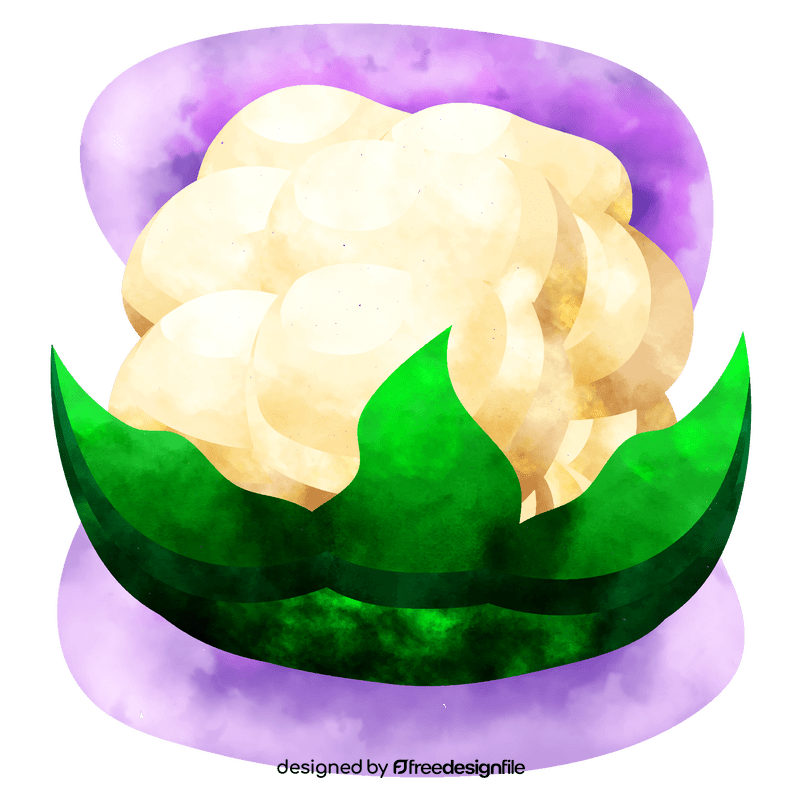 Cauliflower vector