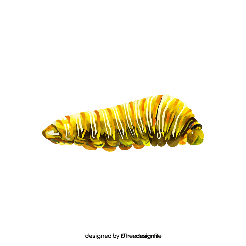 Swallowtail caterpillar clipart