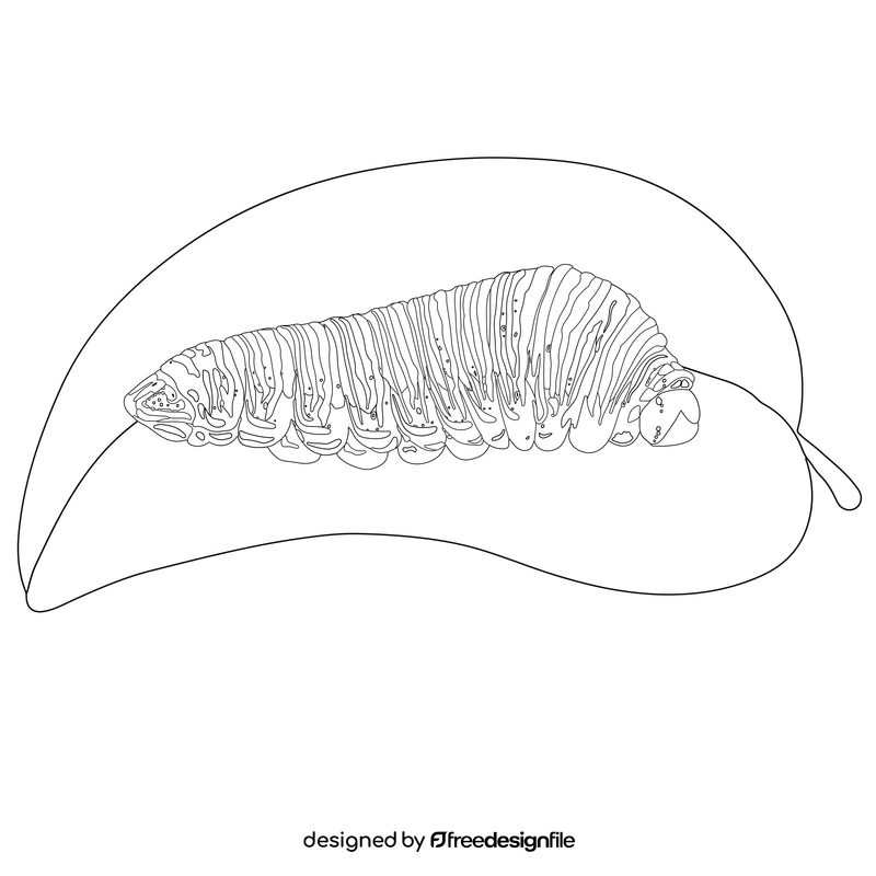 Swallowtail caterpillar drawing black and white clipart