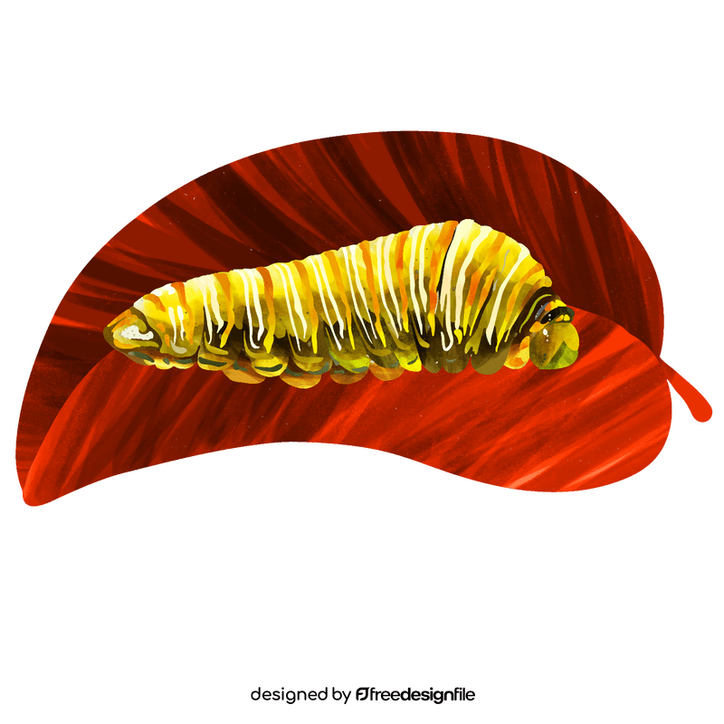 Swallowtail caterpillar vector