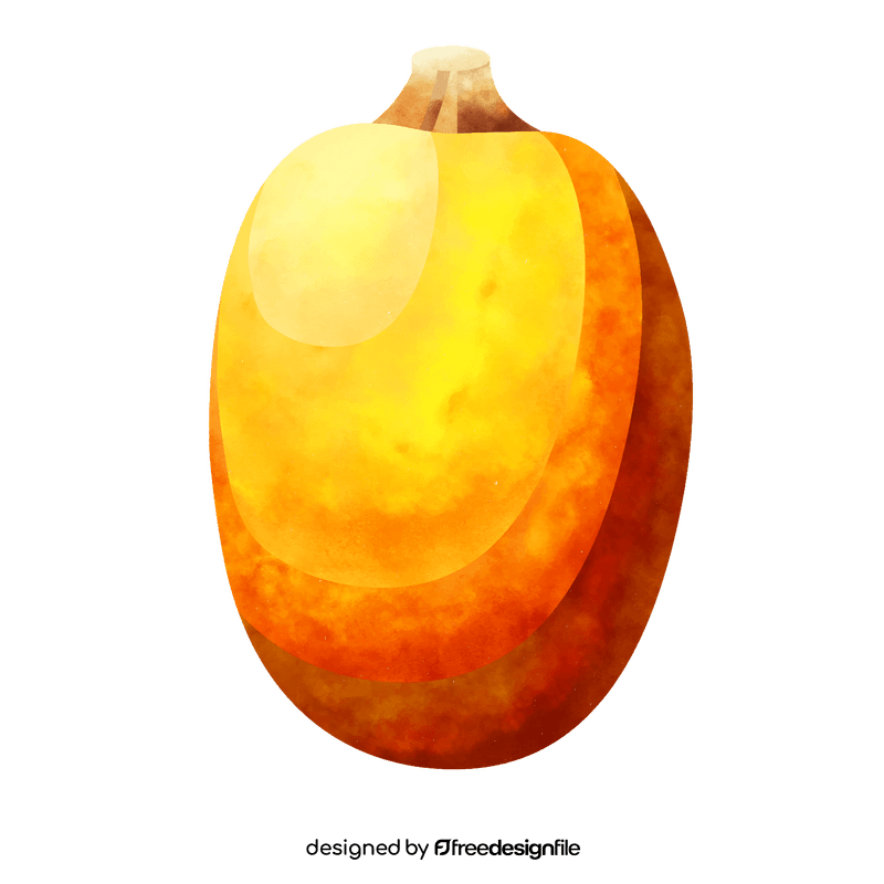 Squash clipart