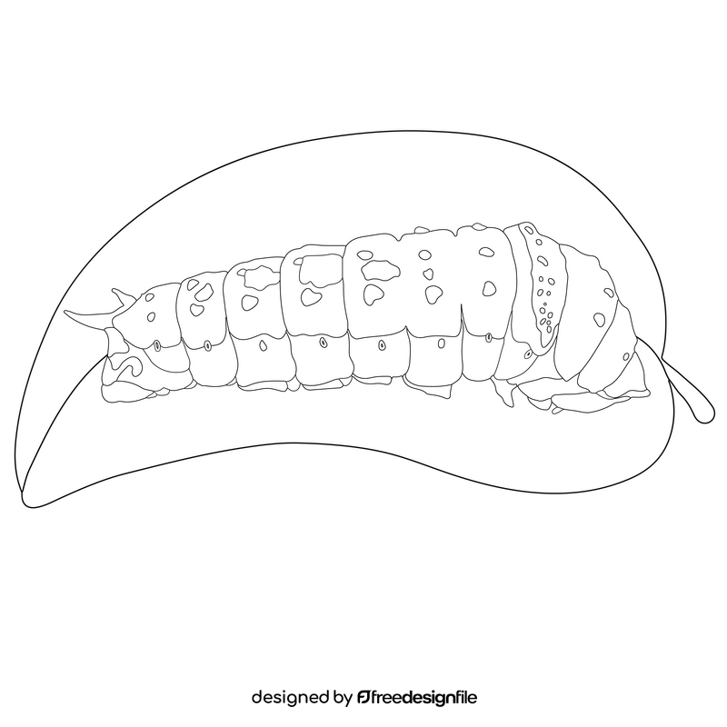 Ulysses caterpillar drawing black and white clipart