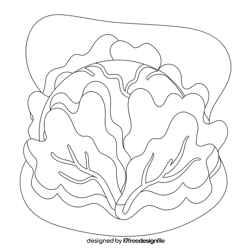 Cabbage drawing black and white clipart