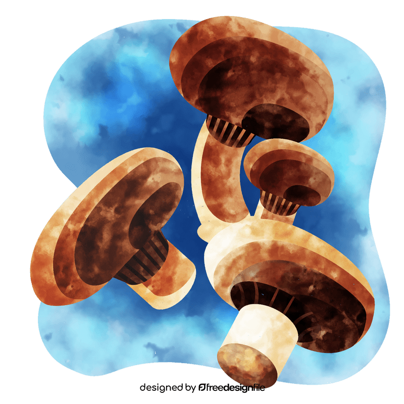 Portobello mushroom vector