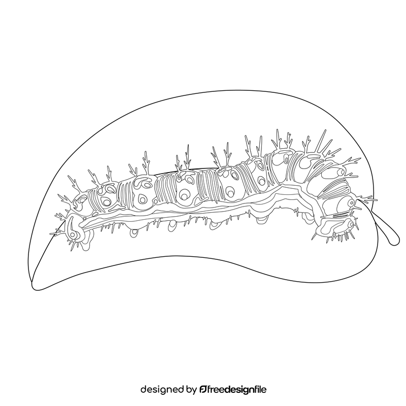 Painted lady caterpillar drawing black and white clipart