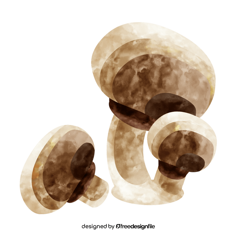 Button mushroom clipart