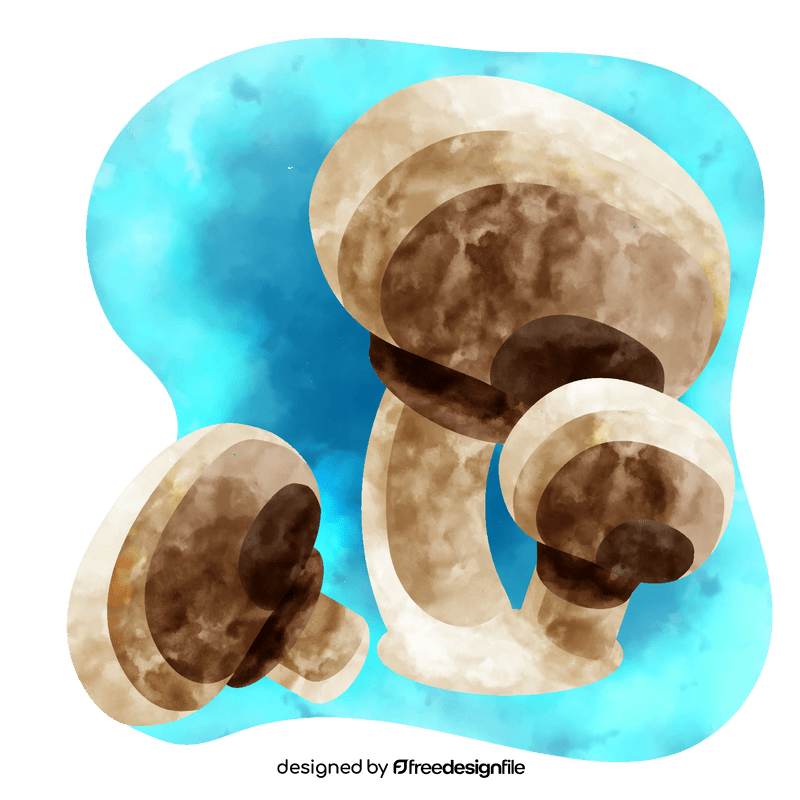 Button mushroom vector