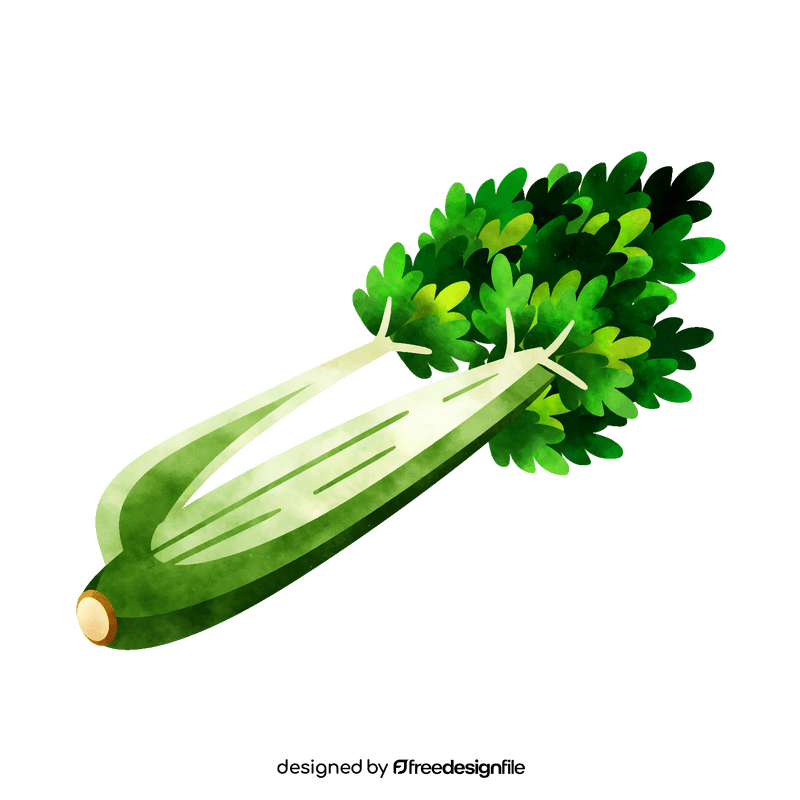 Celery clipart