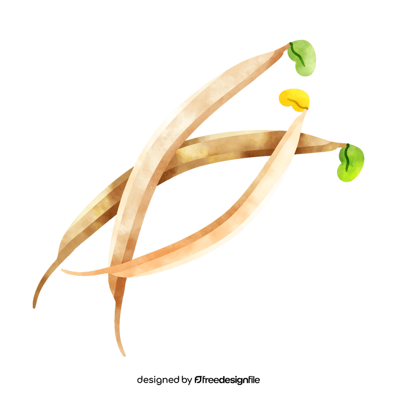 Bean sprout clipart