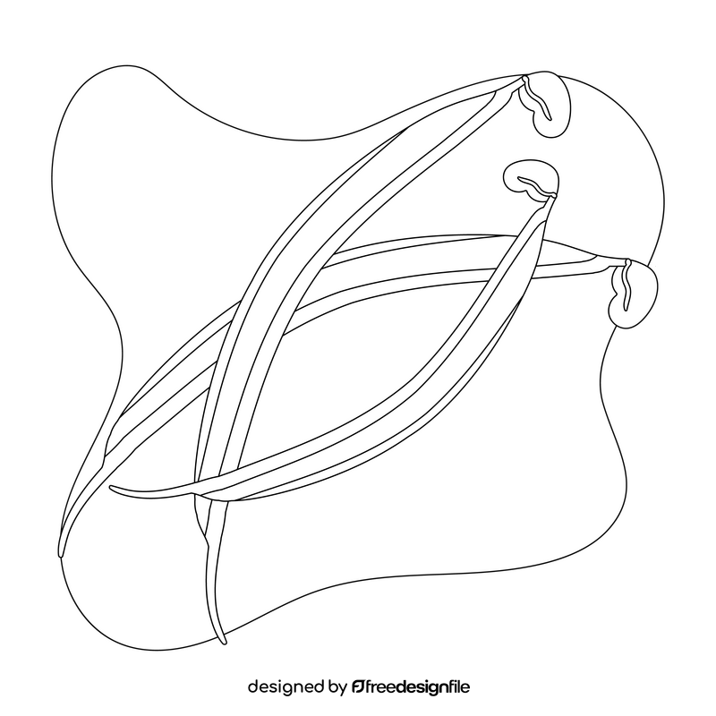 Bean sprout drawing black and white clipart