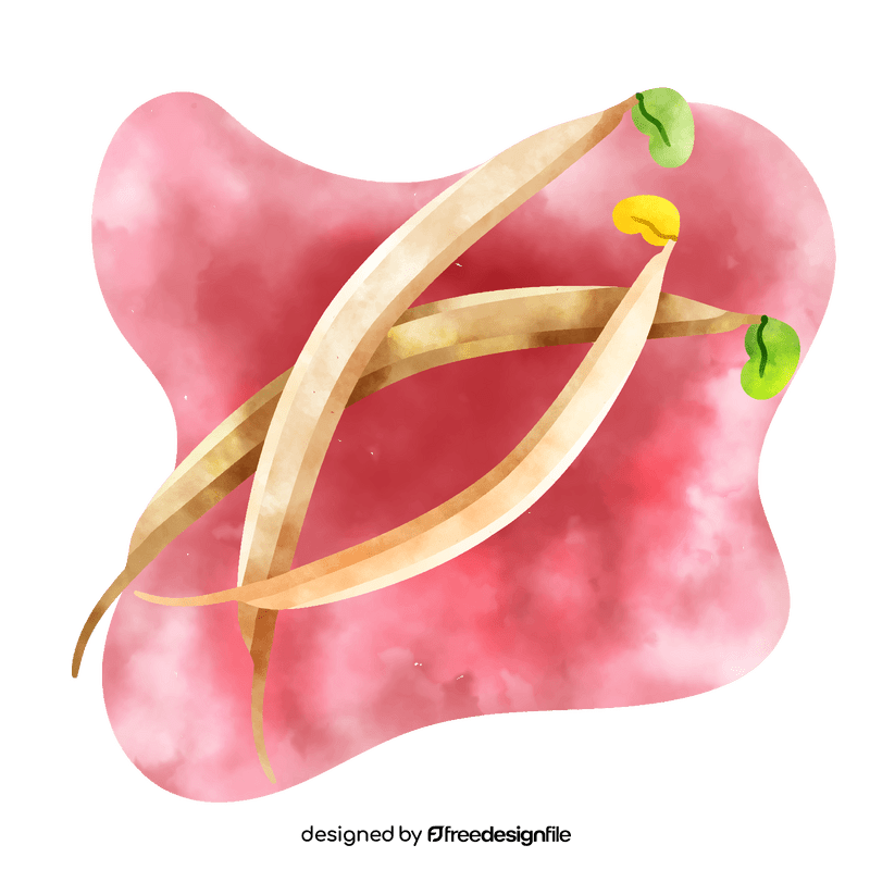 Bean sprout vector