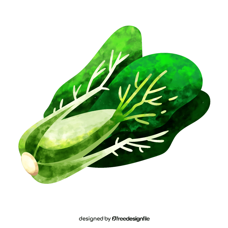 Bok choy clipart