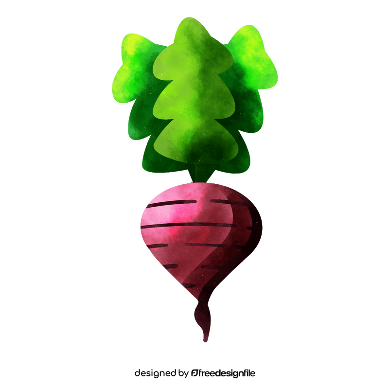 Radish clipart