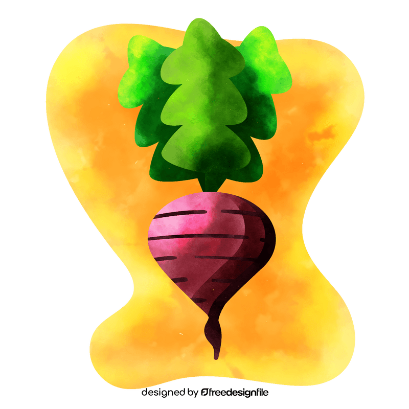 Radish vector