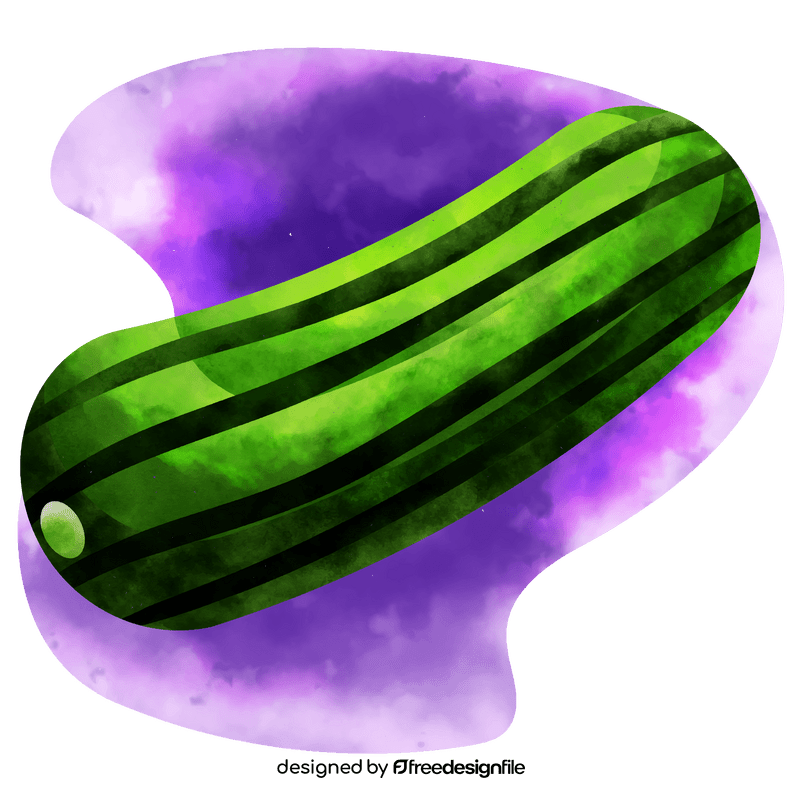 Cucumber vector