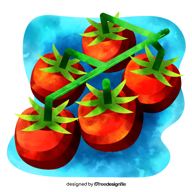 Cherry tomato vector